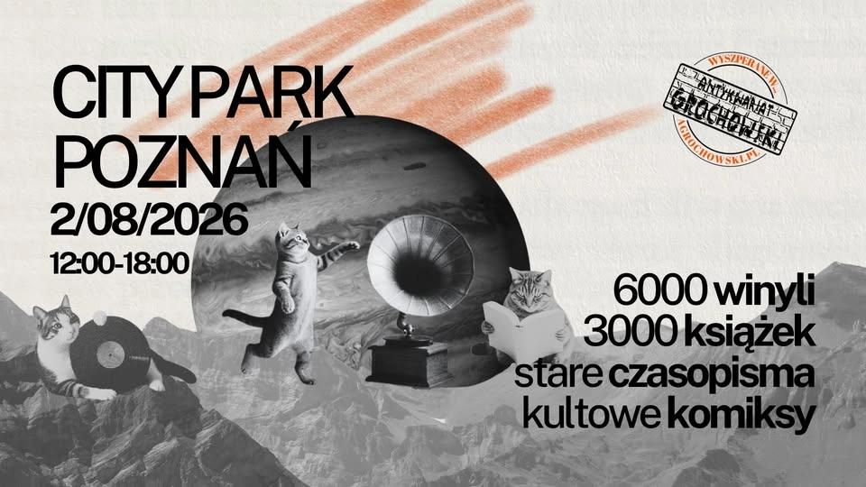 TANIE KSIĄŻKI I WINYLE W POZNANIU