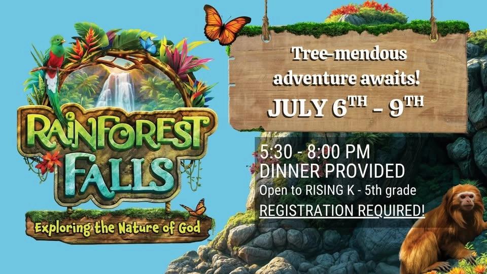 VBS 2026 - Rainforest Falls!