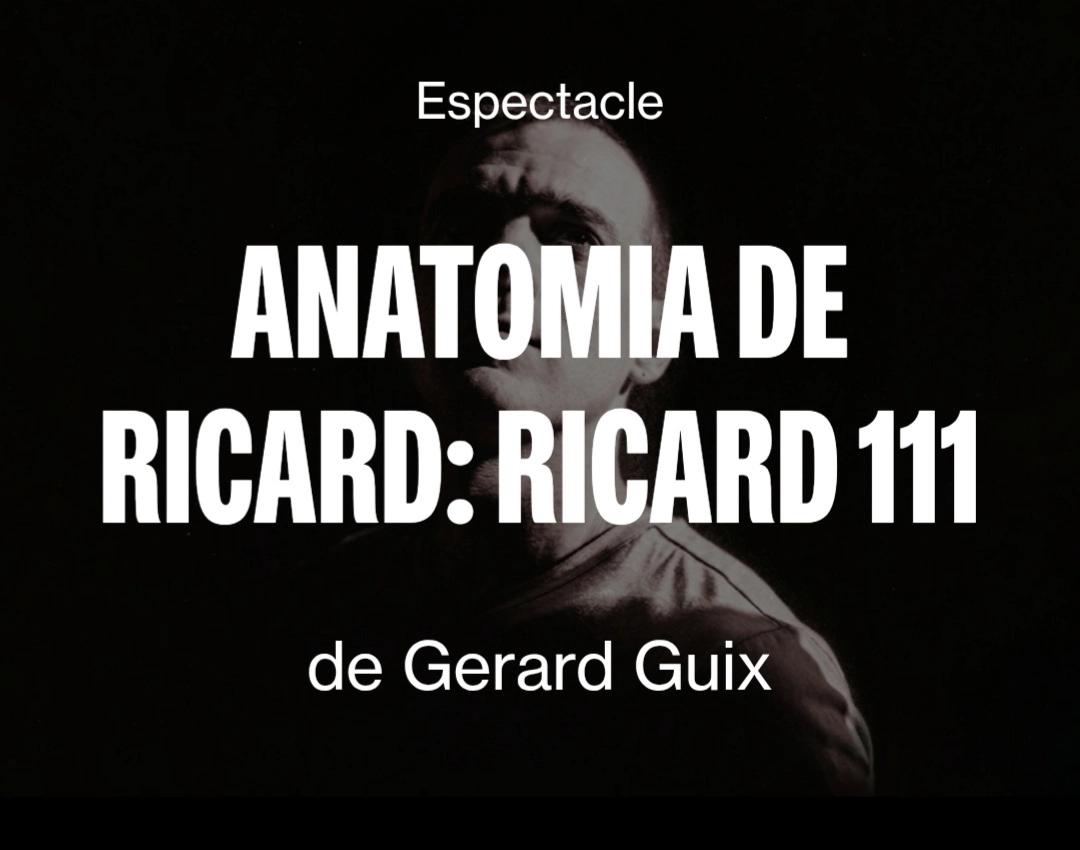 RICARD 111
