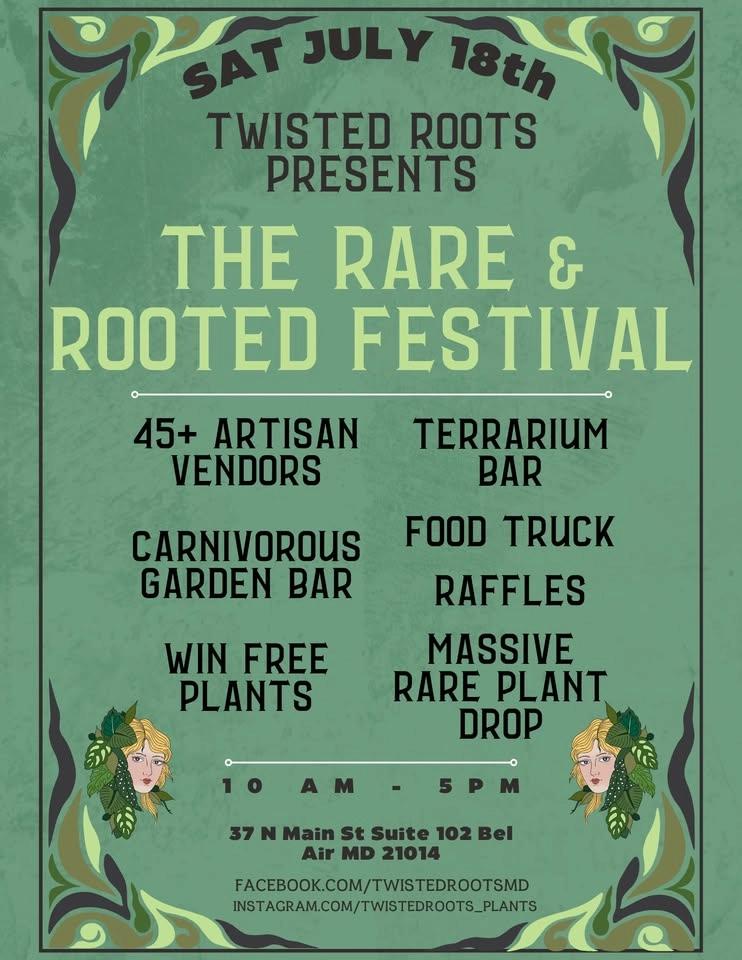 The Rare & Rooted Festival & Our 3 year Anniversary