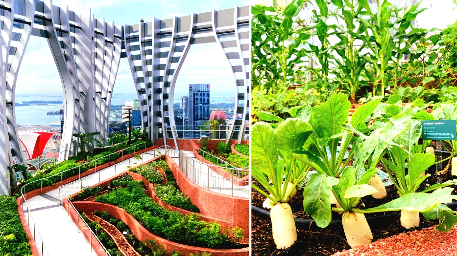 CapitaSpring and surrounding areas mini recce đđ¶ââïžđ¶