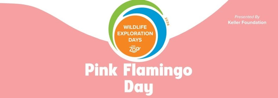 Wildlife Exploration Day l Pink Flamingo Day