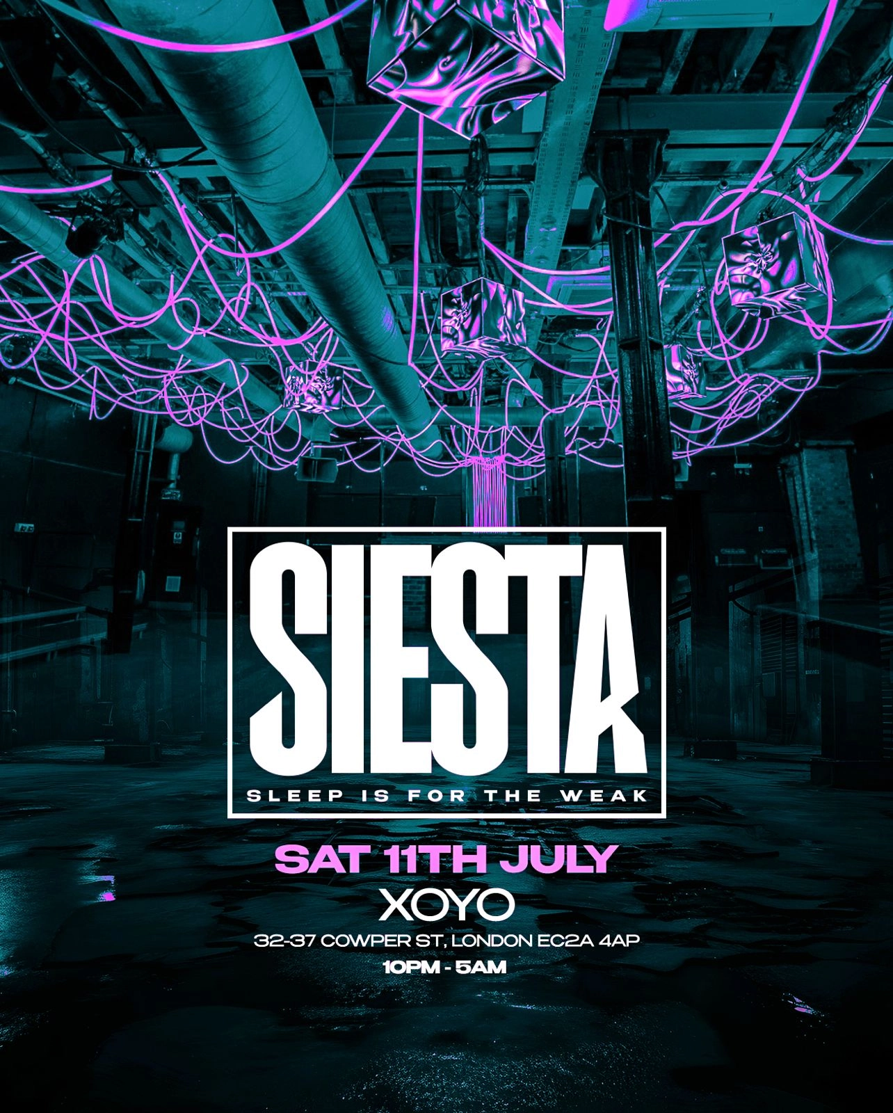 Siesta - 14th Birthday