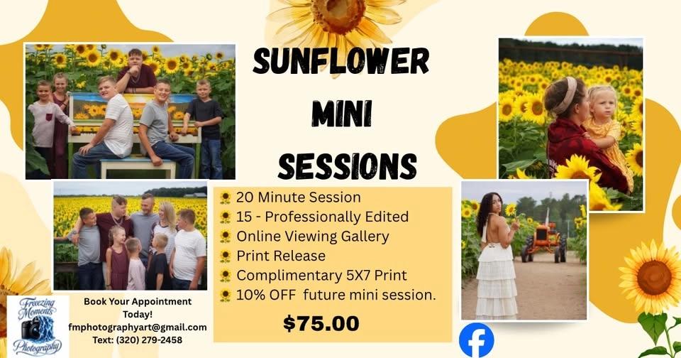 Sunflower 🌻 Mini Sessions