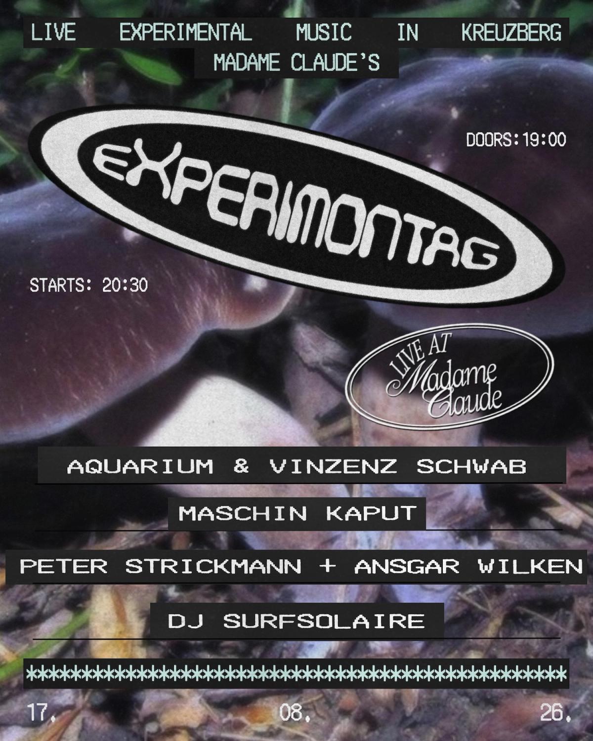 Experimontag: 3 Live Acts + 1 DJ