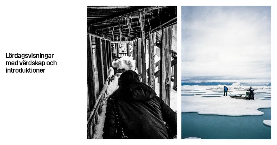 Introduktion till utställningen Rise of the Sunken Sun