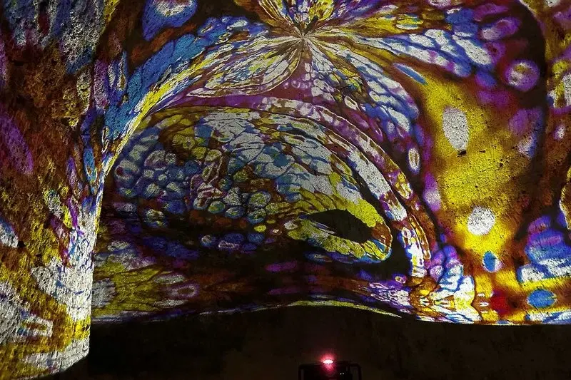 Blik Blik 2026 Nevřeň