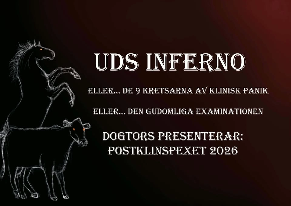 Postklinspexet 2026: UDS Inferno