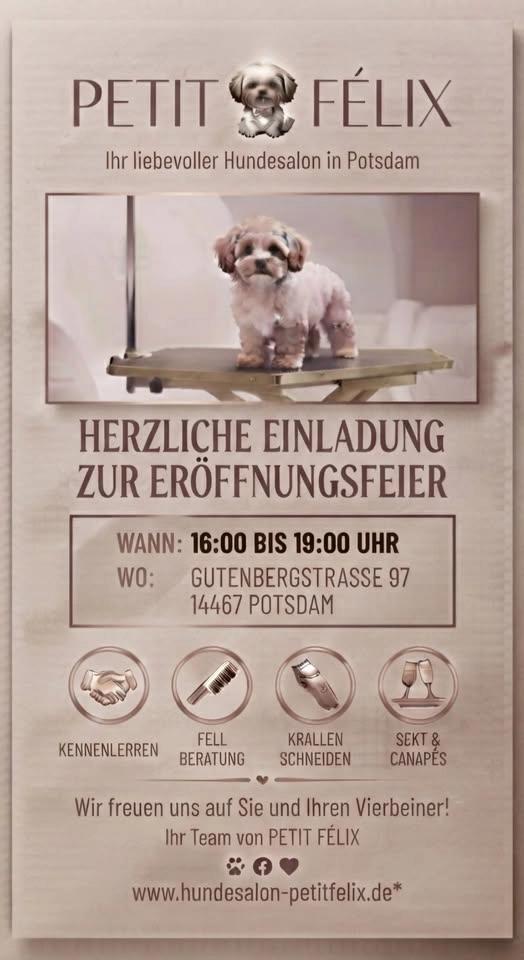 Eröffnungsfeier