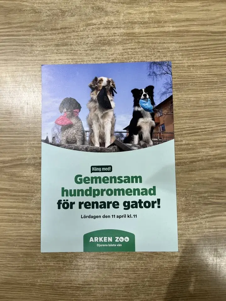 Hundpromenad för renare gator