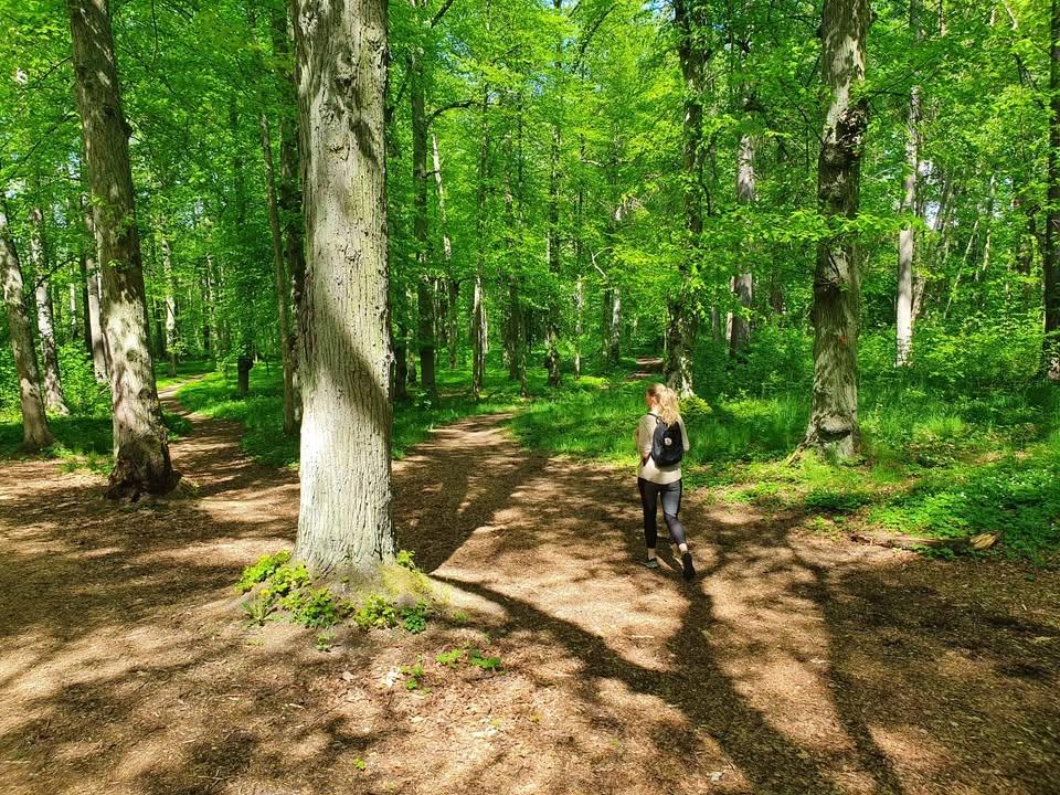 Landa i nuet