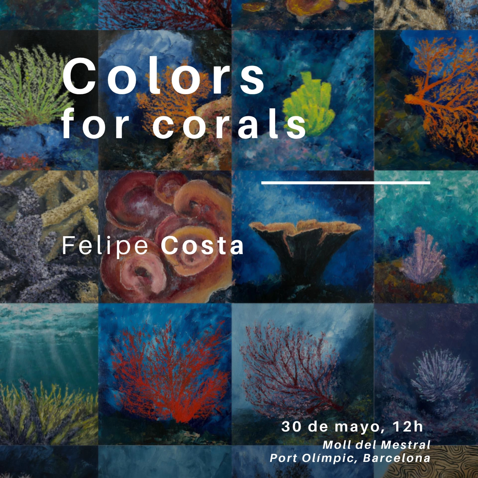 Colors for Corals: Opening Day