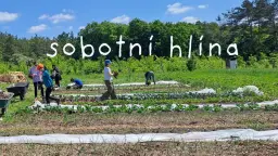 SOBOTNÍ HLÍNA