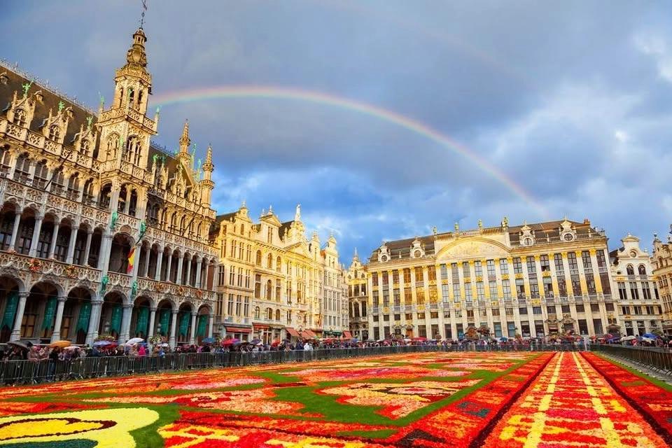 Brussels Flower Carpet 2026 by EuroTrip Adventures