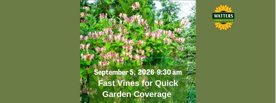 Free Garden Class: Fast Vines for Quick Garden Coverage