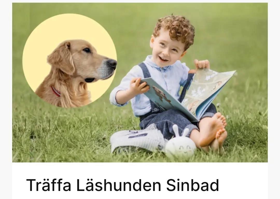 Träffa Läshunden Sinbad
