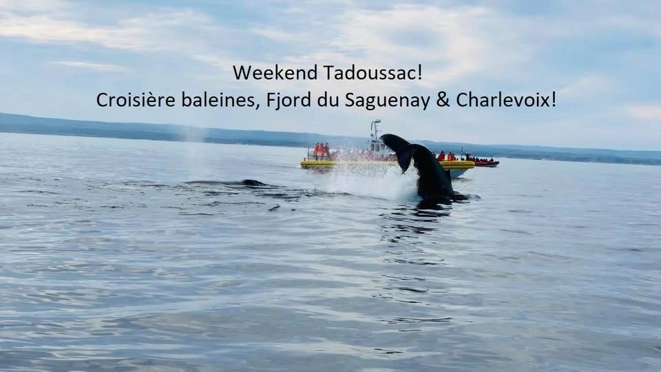 🐋 EXPÉDITION BALEINES, FJORD DU SAGUENAY & CHARLEVOIX
