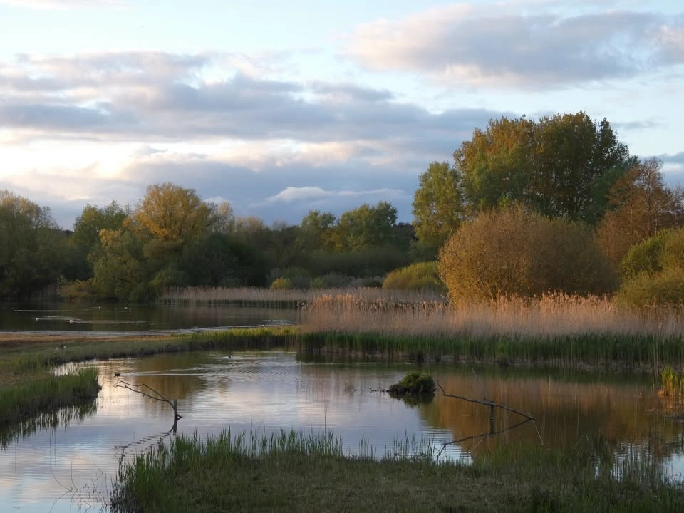Summer evening at the Lakes