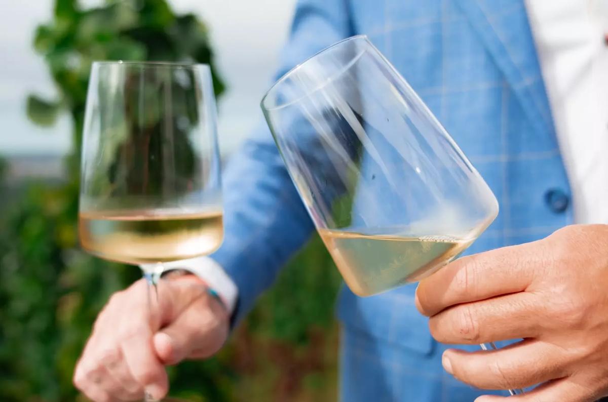 Vertikální degustace Rýnského ryzlinku ve vinařství Jabloňka