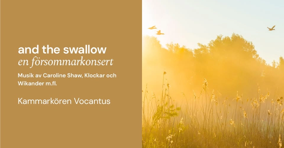 and the swallow - en försommarkonsert med kammarkören Vocantus
