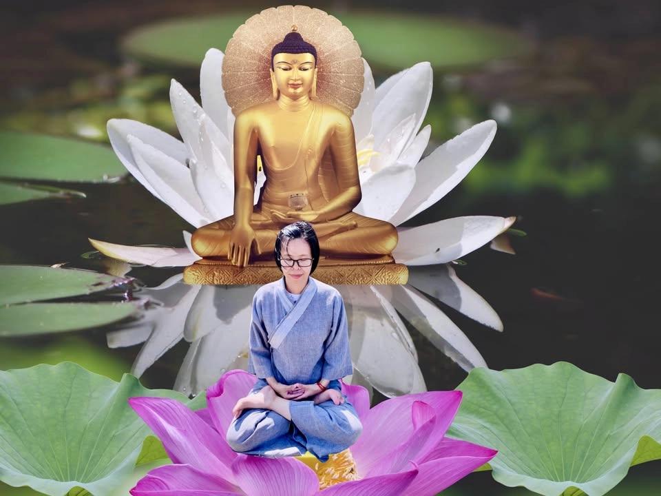 🌷🌹Weekly Silent Meditation Practice Group, Online and In Person!