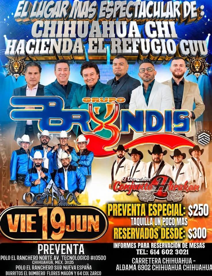 Bryndis en concierto