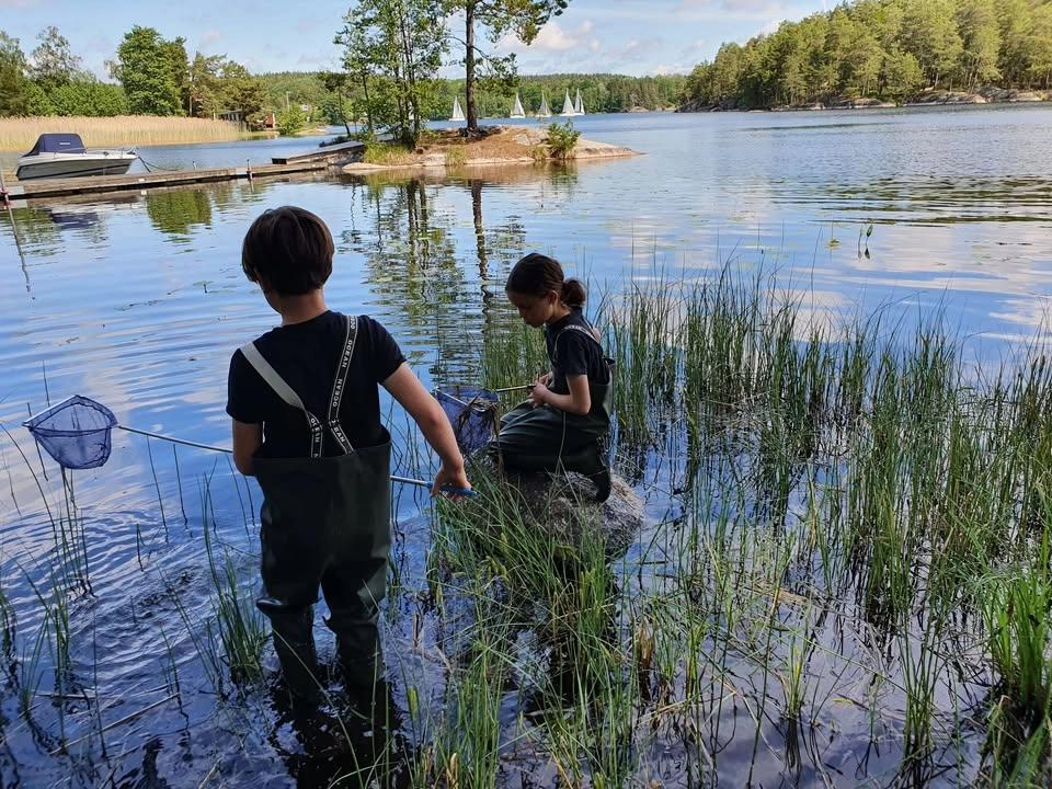 Det spännande livet under ytan