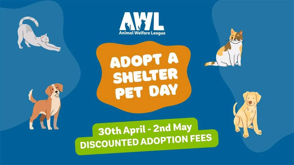 Reduced Adoption Fees - National Adopt a Shelter Pet Day 💚🐾