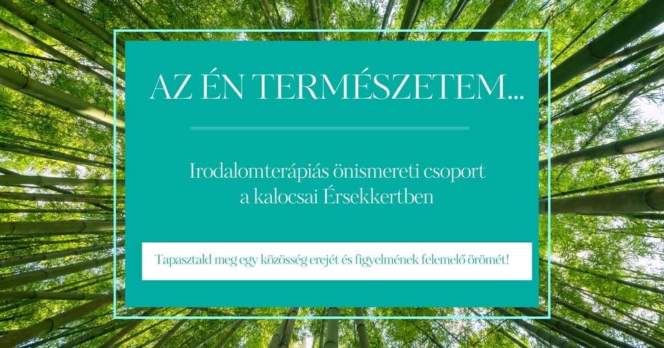 Az én természetem – Irodalomterápiás önismereti csoportfoglalkozás Szűcs Brigitta Z. vezetésével