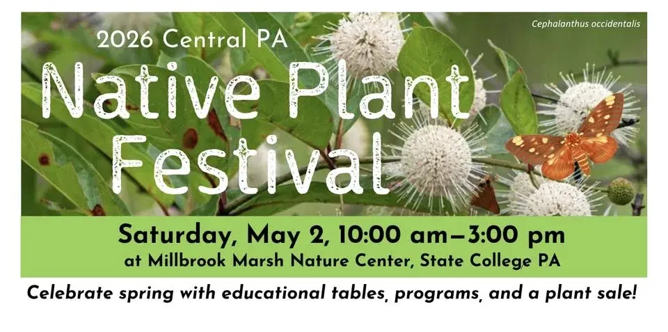 2026 Central Pennsylvania Native Plant Festival and Sale!