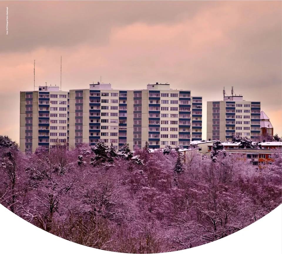 Mina drömmars land