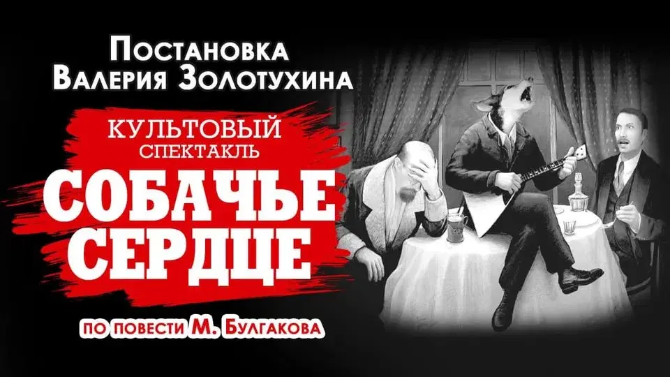 Собачье сердце. Сиэтл