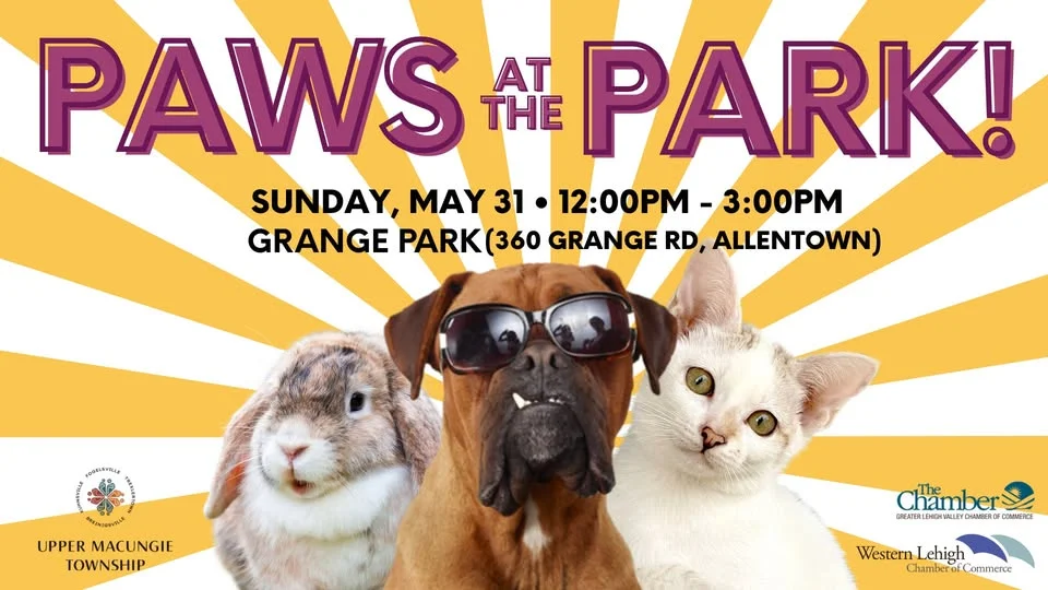 Paws at the Park - A Pet Themed Community Event