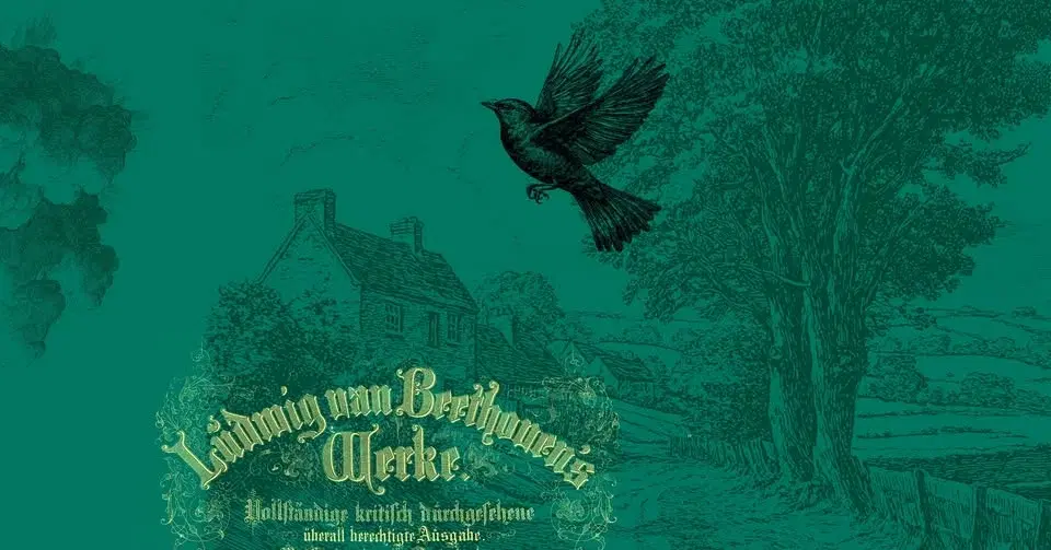 Beethoven & Brabbins