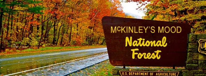 McKinley's Mood Live at Warp & Weft