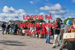 Grönalunds bakluckeloppis