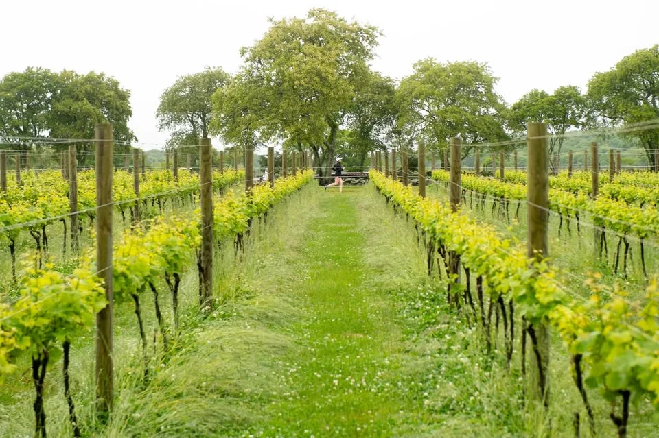 2026 Wine Run at Sakonnet Vineyards