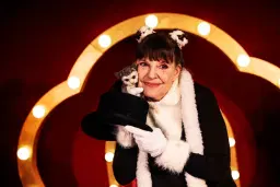 Kattkabaré (för 1,5-3 år)