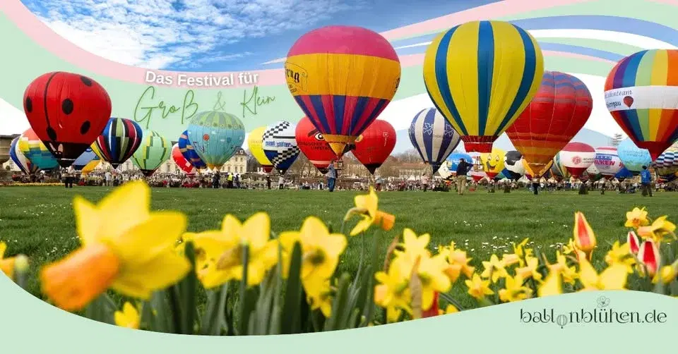 Ballonblühen 2026