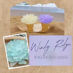 Seaglass Succulents