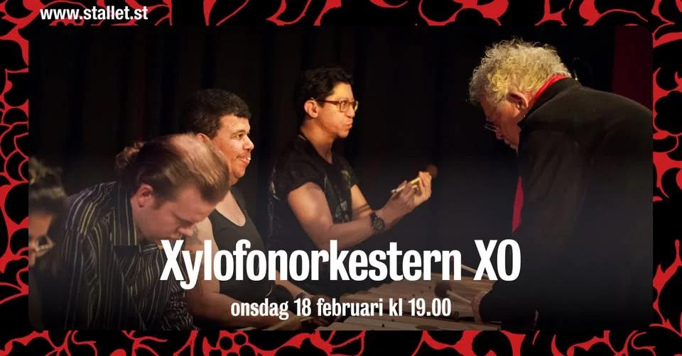Xylofonorkestern XO