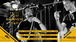 Pauli Hanhiniemi M.A.D. @ Winston Live, Pori