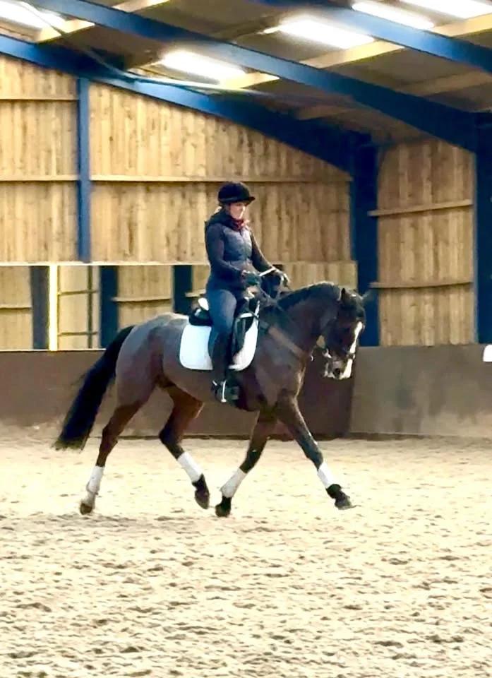 Flat work clinic with Hazel Towers