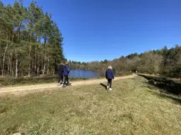 Forest Spring Weekend Yoga Retreat