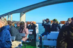 River trip with Suffolk Wildlife Trust