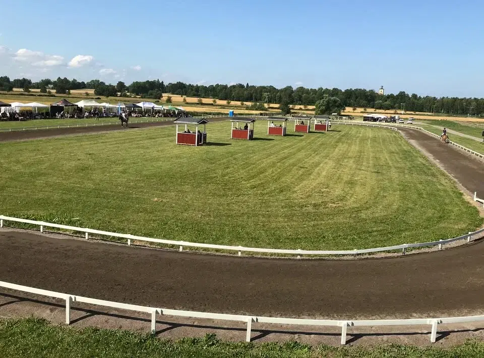 Sommartävling, nivå 4 (tölt- och gångartsgrenar)