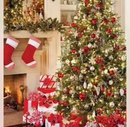 Festival of trees 2026