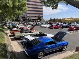 50th Annual Car Showing