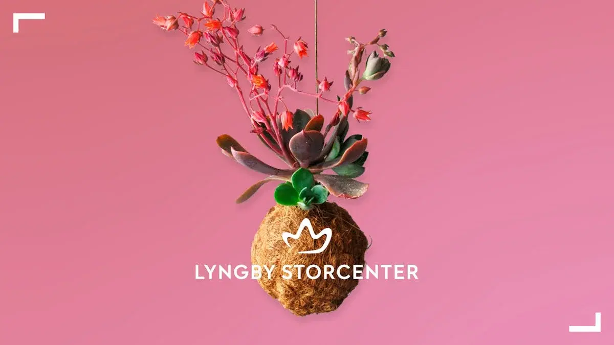 Lav dine egne planteplaneter