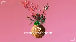 Lav dine egne planteplaneter